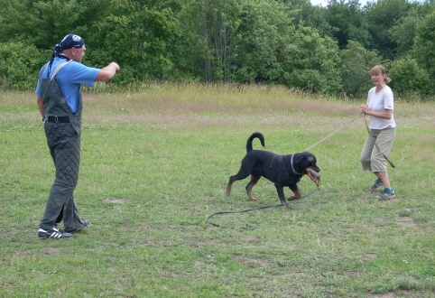 Training in Estonia 6/2007